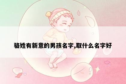 骆姓有新意的男孩名字,取什么名字好
