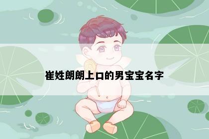崔姓朗朗上口的男宝宝名字